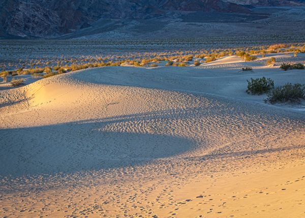 Death Valley Dunes