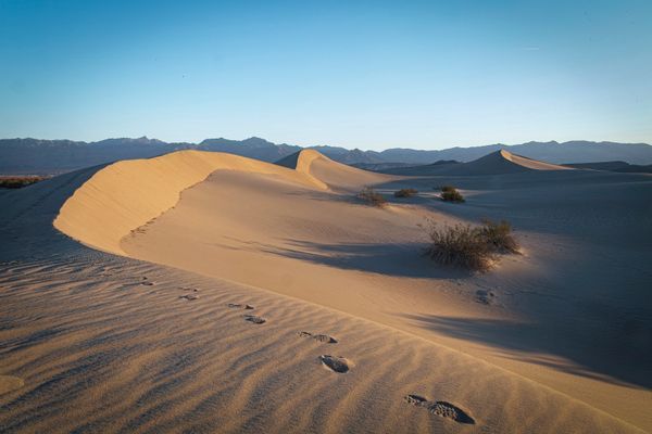 Death Valley Dunes With Footprints